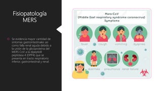 Fisiopatología
MERS
 Se evidencia mayor cantidad de
sintomas gastrointestinales asi
como falla renal aguda debido a
la unión de la glicoproteína del
MERS CoV a la dipeptidil
peptidasa 4 (DPP4) que se
presenta en tracto respiratorio
inferior, gastrointestinal y renal.
 