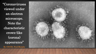 “Coronaviruses
viewed under
an electron
microscope.
Note the
characteristic
crown-like
(corona)
appearance”
By CDC/Dr. Fred Murphy
 