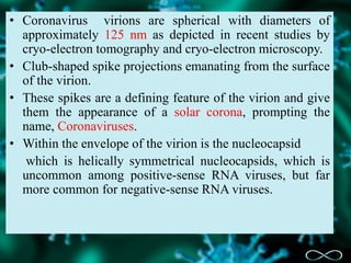 • Coronavirus virions are spherical with diameters of
approximately 125 nm as depicted in recent studies by
cryo-electron tomography and cryo-electron microscopy.
• Club-shaped spike projections emanating from the surface
of the virion.
• These spikes are a defining feature of the virion and give
them the appearance of a solar corona, prompting the
name, Coronaviruses.
• Within the envelope of the virion is the nucleocapsid
which is helically symmetrical nucleocapsids, which is
uncommon among positive-sense RNA viruses, but far
more common for negative-sense RNA viruses.
 