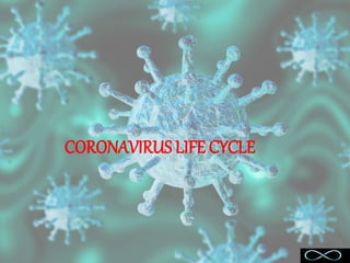 CORONAVIRUS LIFE CYCLE
 