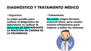 DIAGNÓSTICO Y TRATAMIENTO MÉDICO
• Diagnóstico:
La mejor prueba para
realizar el diagnóstico de
laboratorio es realizar la
detención de ARN MEDIANTE
LA REACCION EN CADENA DE
LA POLIMERASA.
• Tratamiento:
No existe ningún fármaco
antiviral eficaz, pero existen
muchos tratamientos para
mejorar y paliar los síntomas
 