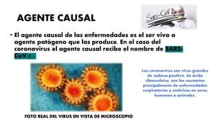 AGENTE CAUSAL
• El agente causal de las enfermedades es el ser vivo o
agente patógeno que las produce. En el caso del
coronavirus el agente causal recibe el nombre de SARS-
CoV-2 .
Los coronavirus son virus grandes
de cadena positiva, de ácido
ribonucleico, son los causantes
principalmente de enfermedades
respiratorias y entéricas en seres
humanos o animales.
FOTO REAL DEL VIRUS EN VISTA DE MICROSCOPIO
 