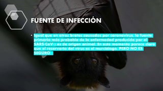 FUENTE DE INFECCIÓN
• Igual que en otros brotes causados por coronavirus, la fuente
primaria más probable de la enfermedad producida por el
SARS-CoV-2 es de origen animal. En este momento parece claro
que el reservorio del virus es el murciélago, PERO NO ES
SEGURO.
 