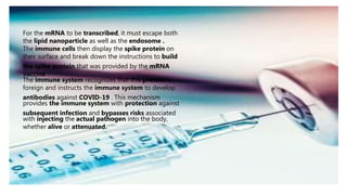 For the mRNA to be transcribed, it must escape both
the lipid nanoparticle as well as the endosome .
The immune cells then display the spike protein on
their surface and break down the instructions to build
the spike protein that was provided by the mRNA
vaccine .
The immune system recognizes that this protein is
foreign and instructs the immune system to develop
antibodies against COVID-19 . This mechanism
provides the immune system with protection against
subsequent infection and bypasses risks associated
with injecting the actual pathogen into the body,
whether alive or attenuated.
 