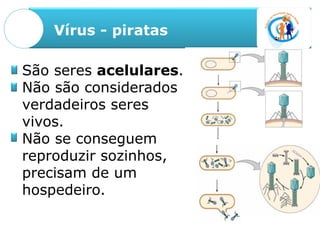 Vírus - piratas
São seres acelulares.
Não são considerados
verdadeiros seres
vivos.
Não se conseguem
reproduzir sozinhos,
precisam de um
hospedeiro.
 