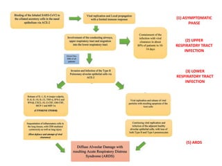 (1) ASYMPTOMATIC
PHASE
(2) UPPER
RESPIRATORY TRACT
INFECTION
(5) ARDS
(3) LOWER
RESPIRATORY TRACT
INFECTION
 