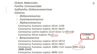 •Ordem Nidovirales
•Família Coronaviridae
•Subfamília Orthocoronavirinae
•Gêneros
1. Deltacoronavirus
2. Gammacoronavirus
3. Alphacoronavirus
Coronavírus humanos espécie HCoV-229E
Coronavírus humanos espécie HCoV-NL63
Coronavírus canino espécie CCoV (Ccov I e CCoV II)
Coronavírus felino espécie FCoV
4. Betacoronavirus
Coronavírus humanos espécie HCoV-OC43
Coronavírus humanos espécie HCoV-HKU1
Coronavírus humanos espécie SARSr-CoV (cepas SARS-Cov e
SARS-CoV2)
Coronavírus humanos espécie MERS-CoV
COVID-
19
 
