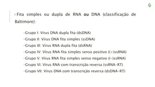 Fita simples ou dupla de RNA ou DNA (classificação de
Baltimore):
•Grupo I: Vírus DNA dupla fita (dsDNA)
•Grupo II: Vírus DNA fita simples (ssDNA)
•Grupo III: Vírus RNA dupla fita (dsRNA)
•Grupo IV: Vírus RNA fita simples senso positivo ((+)ssRNA)
•Grupo V: Vírus RNA fita simples senso negativo ((-)ssRNA)
•Grupo VI: Vírus RNA com transcrição reversa (ssRNA-RT)
•Grupo VII: Vírus DNA com transcrição reversa (dsDNA-RT)
 