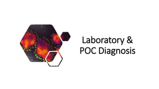 Laboratory &
POC Diagnosis
 