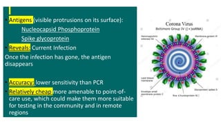 • Antigens (visible protrusions on its surface):
Nucleocapsid Phosphoprotein
Spike glycoprotein
• Reveals: Current Infection
Once the infection has gone, the antigen
disappears
• Accuracy: lower sensitivity than PCR
• Relatively cheap more amenable to point-of-
care use, which could make them more suitable
for testing in the community and in remote
regions
 