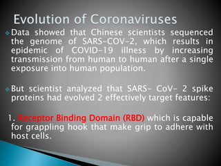  Data showed that Chinese scientists sequenced
the genome of SARS-COV-2, which results in
epidemic of COVID-19 illness by increasing
transmission from human to human after a single
exposure into human population.
 But scientist analyzed that SARS- CoV- 2 spike
proteins had evolved 2 effectively target features:
1. Receptor Binding Domain (RBD) which is capable
for grappling hook that make grip to adhere with
host cells.
 
