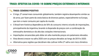 PÁGINA 6
TRIGO: EFEITOS DA COVID-19 SOBRE PREÇOS EXTERNOS E INTERNOS
TRIGO: CENÁRIO POSITIVO
➔ O trigo, 2º cereal mais consumido globalmente, também registra desempenho similar ao
do arroz, por fazer parte da cesta básica de diversos países, especialmente na Europa,
que tem o maior consumo per capita do mundo.
➔ O Brasil tem histórica dependência de 50% do consumo interno oriundo de importações,
principalmente da Argentina, levando à disparada de preços com a combinação da
entressafra doméstica e da alta das cotações internacionais.
➔ Importações encarecidas pelo dólar em alta manterão preços em patamares elevados.
➔ Área deverá crescer na safra 2020 com os preços elevados ao longo de 2019 e 2020.
➔ Alternativa para regiões que decidiram não cultivar milho 2ª safra com risco climático.
 
