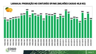 PÁGINA 11
296
263
286
300 307 311
357 363
428
330
388
355
343
362
280
361 352 348
366
300
353
322
428
387
290
309 301
245
398
286
387
288
1989/1990
1990/1991
1991/1992
1992/1993
1993/1994
1994/1995
1995/1996
1996/1997
1997/1998
1998/1999
1999/2000
2000/2001
2001/2002
2002/2003
2003/2004
2004/2005
2005/2006
2006/2007
2007/2008
2008/2009
2009/2010
2010/2011
2011/2012
2012/2013
2013/2014
2014/2015
2015/2016
2016/2017
2017/2018
2018/2019
2019/2020
2020/2021
LARANJA: PRODUÇÃO NO CINTURÃO SP/MG (MILHÕES CAIXAS 40,8 KG)
 