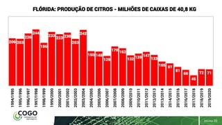 PÁGINA 20
206 203
226
244
186
233
223 230
203
242
150 148
129
170 162
132 139 147
133
105 97
81
69
45
72 71
1994/1995
1995/1996
1996/1997
1997/1998
1998/1999
1999/2000
2000/2001
2001/2002
2002/2003
2003/2004
2004/2005
2005/2006
2006/2007
2007/2008
2008/2009
2009/2010
2010/2011
2011/2012
2012/2013
2013/2014
2014/2015
2015/2016
2016/2017
2017/2018
2018/2019
2019/2020
FLÓRIDA: PRODUÇÃO DE CITROS - MILHÕES DE CAIXAS DE 40,8 KG
 