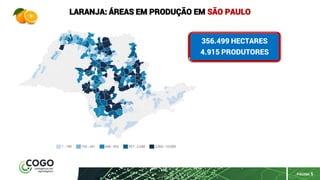 PÁGINA 5
LARANJA: ÁREAS EM PRODUÇÃO EM SÃO PAULO
356.499 HECTARES
4.915 PRODUTORES
 