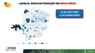 PÁGINA 6
LARANJA: ÁREAS EM PRODUÇÃO EM MINAS GERAIS
34.934 HECTARES
2.503 PRODUTORES
 