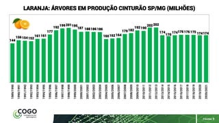 PÁGINA 9
144
156154152
161161
177
192
199201195
187 188186186
160162164
179182
192190
202202
174
170
174176176175 174174
1989/1990
1990/1991
1991/1992
1992/1993
1993/1994
1994/1995
1995/1996
1996/1997
1997/1998
1998/1999
1999/2000
2000/2001
2001/2002
2002/2003
2003/2004
2004/2005
2005/2006
2006/2007
2007/2008
2008/2009
2009/2010
2010/2011
2011/2012
2012/2013
2013/2014
2014/2015
2015/2016
2016/2017
2017/2018
2018/2019
2019/2020
2020/2021
LARANJA: ÁRVORES EM PRODUÇÃO CINTURÃO SP/MG (MILHÕES)
 