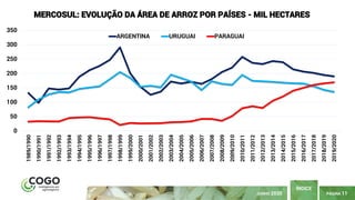 PÁGINA 11
ÍNDICE
JUNHO 2020
0
50
100
150
200
250
300
350 1989/1990
1990/1991
1991/1992
1992/1993
1993/1994
1994/1995
1995/1996
1996/1997
1997/1998
1998/1999
1999/2000
2000/2001
2001/2002
2002/2003
2003/2004
2004/2005
2005/2006
2006/2007
2007/2008
2008/2009
2009/2010
2010/2011
2011/2012
2012/2013
2013/2014
2014/2015
2015/2016
2016/2017
2017/2018
2018/2019
2019/2020
MERCOSUL: EVOLUÇÃO DA ÁREA DE ARROZ POR PAÍSES - MIL HECTARES
ARGENTINA URUGUAI PARAGUAI
 