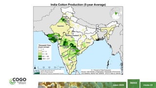 PÁGINA 22
ÍNDICE
JUNHO 2020
 