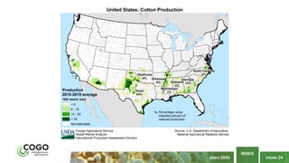 PÁGINA 24
ÍNDICE
JUNHO 2020
 