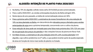 PÁGINA 28
ÍNDICE
JUNHO 2020
ALGODÃO: INTENÇÃO DE PLANTIO PARA 2020/2021
➔ Na Bahia, 70% do algodão colhido nesta safra 2019/2020 já está comercializado.
➔ Para a safra 2020/2021, as vendas antecipadas da pluma da Bahia atingem 30%.
➔ Nesta época do ano passado, a média de comercialização estava em 50%.
➔ Para a próxima safra 2020/2021, a estimativa da nossa Consultoria é de uma redução de
18% na área plantada na Bahia, em decorrência dos elevados preços ofertados para vendas
antecipadas de soja para a próxima temporada, concorrendo com o cultivo da pluma.
➔ Essa redução de área pode ser revisada para uma faixa mais próxima dos 10%-12% em caso
de recuperação dos preços do petróleo e das cotações futuras da pluma em Nova York.
➔ Em Mato Grosso, a estimativa é de uma redução entre 6% a 8% na área plantada com
algodão, cujo cultivo predomina na 2ª safra, o que poderá reverter parte da queda esperada
da área em função do início mais tardio do plantio no Estado.
 