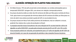 PÁGINA 29
ÍNDICE
JUNHO 2020
ALGODÃO: INTENÇÃO DE PLANTIO PARA 2020/2021
➔ Em Mato Grosso, 79% da safra atual está comercializada e as vendas antecipadas para a
temporada 2020/2021 atingem 30%, com atraso em relação à temporada anterior.
➔ Os preços da pluma estão ao redor dos 60 centavos de dólar por libra-peso na bolsa de Nova
York, após terem se recuperado de mínimas abaixo de 50 centavos de dólar por libra-peso no
início de abril, mas ainda acumulam queda de 8,4% no acumulado do ano.
➔ Os preços atuais em Nova York estão próximos do breakeven, mas se voltarem a recuar,
poderão ficar abaixo dos custos de produção no Brasil.
➔ A projeção atual da nossa Consultoria é de uma redução de 9% na área total de cultivo de
algodão na safra 2020/2021, puxada pela retração prevista de 8% em MT e de 18% na BA.
➔ Essa projeção poderá ser reduzida, principalmente para a 2ª safra de algodão de MT (92% da
área do Estado), em caso de recuperação do petróleo e das cotações futuras da pluma.
 