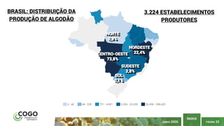 PÁGINA 33
ÍNDICE
JUNHO 2020
BRASIL: DISTRIBUIÇÃO DA
PRODUÇÃO DE ALGODÃO
3.224 ESTABELECIMENTOS
PRODUTORES
NORTE
0,9%
NORDESTE
22,4%CENTRO-OESTE
73,8%
SUL
0,1%
SUDESTE
2,8%
 