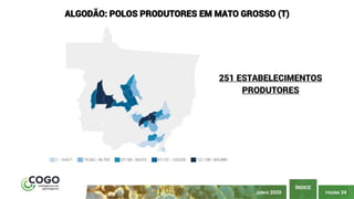 PÁGINA 34
ÍNDICE
JUNHO 2020
ALGODÃO: POLOS PRODUTORES EM MATO GROSSO (T)
251 ESTABELECIMENTOS
PRODUTORES
 
