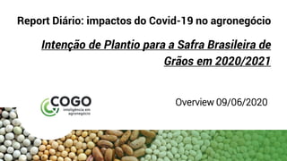 Report Diário: impactos do Covid-19 no agronegócio
Intenção de Plantio para a Safra Brasileira de
Grãos em 2020/2021
Overview 09/06/2020
 