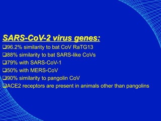 SARS-CoV-2 virus genes:
96.2% similarity to bat CoV RaTG13
88% similarity to bat SARS-like CoVs
79% with SARS-CoV-1
50% with MERS-CoV
90% similarity to pangolin CoV
ACE2 receptors are present in animals other than pangolins
 