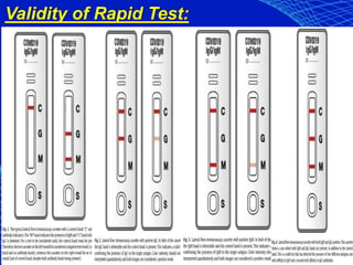 Validity of Rapid Test:
 