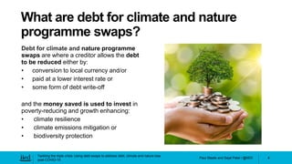 Using debt swaps to address debt, climate and nature loss post-COVID-19 ...