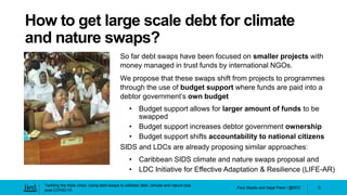 Using debt swaps to address debt, climate and nature loss post-COVID-19 ...