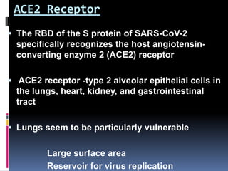 ACE2 Receptor
 The RBD of the S protein of SARS-CoV-2
specifically recognizes the host angiotensin-
converting enzyme 2 (ACE2) receptor
 ACE2 receptor -type 2 alveolar epithelial cells in
the lungs, heart, kidney, and gastrointestinal
tract
 Lungs seem to be particularly vulnerable
Large surface area
Reservoir for virus replication
 