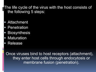 The life cycle of the virus with the host consists of
the following 5 steps:
 Attachment
 Penetration
 Biosynthesis
 Maturation
 Release
Once viruses bind to host receptors (attachment),
they enter host cells through endocytosis or
membrane fusion (penetration).
 