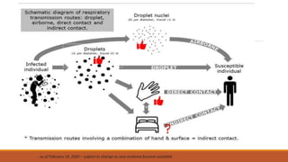 Como recordatorio, transmisión del COVID-19
as of February 19, 2020 – subject to change as new evidence become available
 