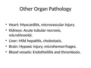 Other Organ Pathology
• Heart: Myocarditis, microvascular injury.
• Kidneys: Acute tubular necrosis,
microthrombi.
• Liver: Mild hepatitis, cholestasis.
• Brain: Hypoxic injury, microhemorrhages.
• Blood vessels: Endotheliitis and thrombosis.
 