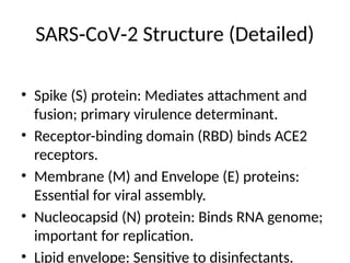 SARS CoV 2 Structure (Detailed)
‑ ‑
• Spike (S) protein: Mediates attachment and
fusion; primary virulence determinant.
• Receptor-binding domain (RBD) binds ACE2
receptors.
• Membrane (M) and Envelope (E) proteins:
Essential for viral assembly.
• Nucleocapsid (N) protein: Binds RNA genome;
important for replication.
• Lipid envelope: Sensitive to disinfectants.
 