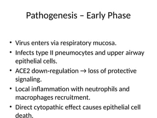 Pathogenesis – Early Phase
• Virus enters via respiratory mucosa.
• Infects type II pneumocytes and upper airway
epithelial cells.
• ACE2 down regulation → loss of protective
‑
signaling.
• Local inflammation with neutrophils and
macrophages recruitment.
• Direct cytopathic effect causes epithelial cell
death.
 