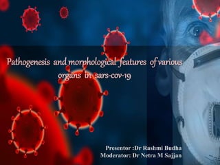 Pathogenesis andmorphological features of various
organs in sars-cov-19
Presentor :Dr Rashmi Budha
Moderator: Dr Netra M Sajjan
 