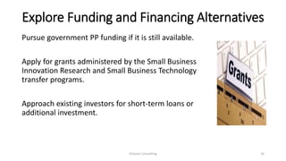 Explore Funding and Financing Alternatives
Pursue government PP funding if it is still available.
Apply for grants administered by the Small Business
Innovation Research and Small Business Technology
transfer programs.
Approach existing investors for short-term loans or
additional investment.
Dickson Consulting 16
 