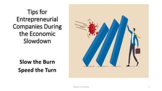Tips for
Entrepreneurial
Companies During
the Economic
Slowdown
Slow the Burn
Speed the Turn
Dickson Consulting 1
 