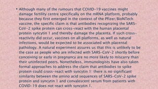 • Although many of the rumours that COVID-19 vaccines might
damage fertility centre specifically on the mRNA platform, probably
because they first emerged in the context of the Pfizer/BioNTech
vaccine, the specific claim is that antibodies recognizing the SARS-
CoV-2 spike protein can cross-react with the human placental
protein syncytin 1 and thereby damage the placenta. If such cross-
reactivity did occur, vaccines on all platforms, as well as natural
infections, would be expected to be associated with placental
pathology. A natural experiment assures us that this is unlikely to be
the case as people who are infected with SARS-CoV-2 shortly before
conceiving or early in pregnancy are no more likely to miscarry than
their uninfected peers. Nonetheless, immunologists have also taken
formal approaches to address the claim that antibodies to spike
protein could cross-react with syncytin 1: there is no significant
similarity between the amino acid sequences of SARS-CoV-2 spike
protein and syncytin 1 and convalescent serum from patients with
COVID-19 does not react with syncytin 1.
 