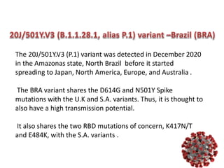 The 20J/501Y.V3 (P.1) variant was detected in December 2020
in the Amazonas state, North Brazil before it started
spreading to Japan, North America, Europe, and Australia .
The BRA variant shares the D614G and N501Y Spike
mutations with the U.K and S.A. variants. Thus, it is thought to
also have a high transmission potential.
It also shares the two RBD mutations of concern, K417N/T
and E484K, with the S.A. variants .
 