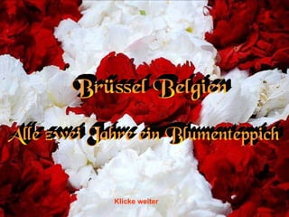 Brüssel Belgien Alle zwei Jahre ein Blumenteppich Klicke weiter 