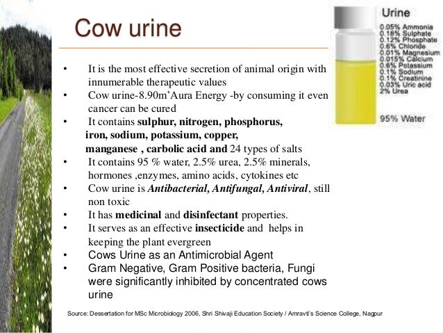 Cow Based Economy V5