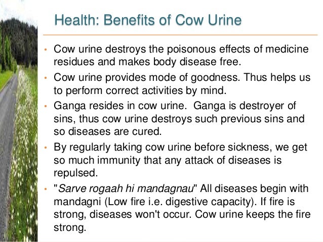 Cow Based Economy V5