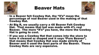 Beaver Hats
• In a Beaver felt Cowboy Hat, the “X’s” mean the
percentage of real Beaver used in the making of that
Cowboy Hat.
• At Big R, we usually carry a 4X Beaver Felt Cowboy
Hat. That means that hat was made with 4% real
Beaver. The more “X’s” you have, the more the Cowboy
Hat is going to cost.
• If you see a Cowboy Hat that comes into the store to
have it cleaned or shaped and it says “Pure Beaver”,
that means that Cowboy Hat was made strictly of
Beaver and it used the best parts of the Beaver. These
Cowboy Hats are very expensive.
 