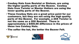 • Cowboy Hats from Resistol or Stetson, are using
the higher quality parts of the Beaver. Cowboy
Hats from Twister or Master Hatters are using the
lower quality parts of the Beaver.
• These Cowboy Hats are a great price point for our
customers, but they are not using the high quality
parts of the Beaver. For example, a 20X Twister is
not the same as a 20X Resistol. There is
approximately a $400.00 difference in the prices of
these two Cowboy Hats.
• The softer the hat, the better the Beaver Felt.
 