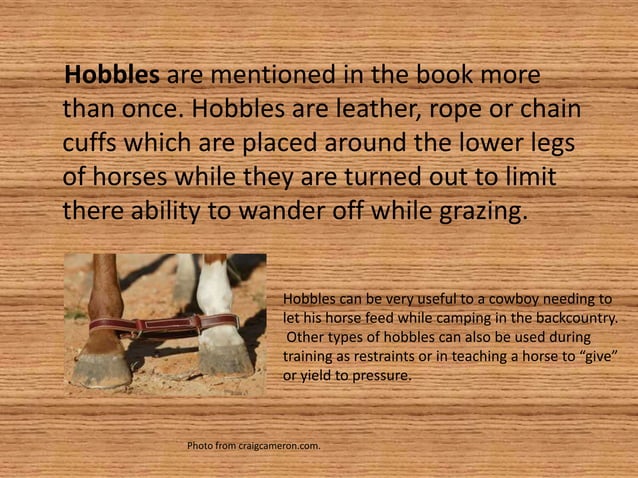 Cowboy Life Presentation PPT